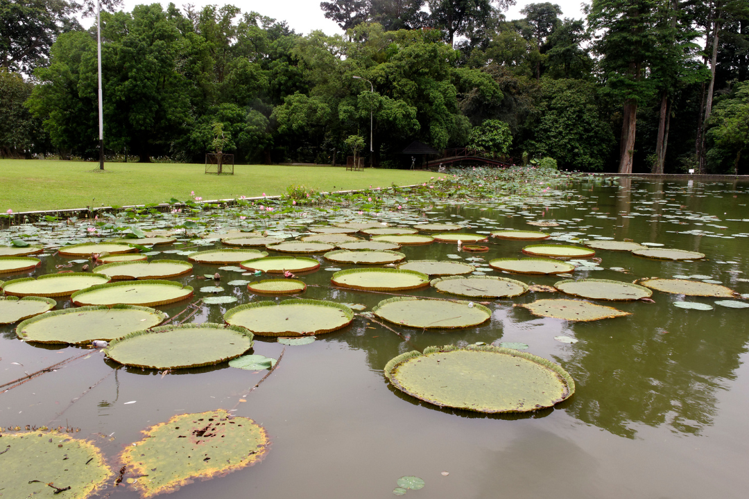 tempat liburan bersama bayi