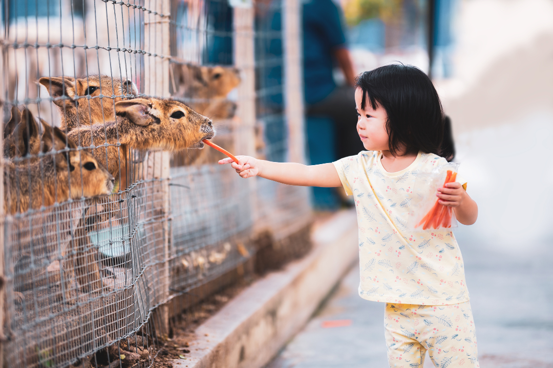 tempat liburan bersama bayi